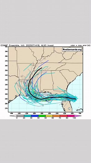 Goat's Weather Page on Reels