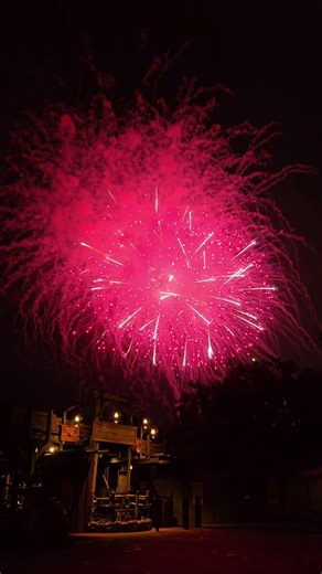 Disney worlds legendary grand finale firework show #disney #disneyworld #disneyfireworks #firwork