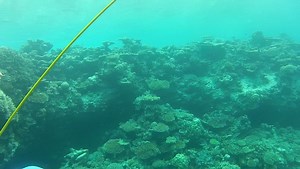 Just a little Friday virtual SNUBA sesh to get you yearning for the weekend. Book your tour and come SNUBA with us! #Snuba #SnubaLife酪 | SNUBA | Facebook