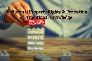 Intellectual Property Rights and Protection of Traditional Knowledge: A General Indian Perspective