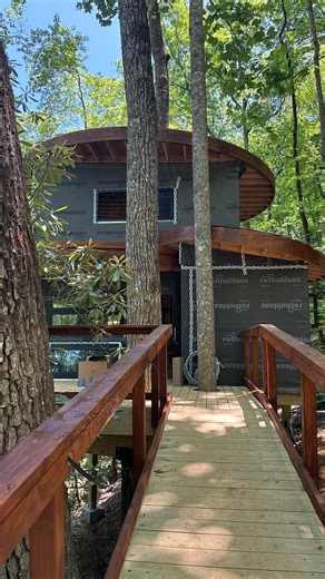 Treehouse Experts on Instagram: "Come inside the mushroom shaped treehouse with us. Staining is underway, giving a warm and cozy tone. The curved roofs are ready for vegetation, and siding is up next. ⚒️ #treehouse #treehouseexperts #treehousebuilders #treehouserental #luxurytreehouse #walkingnet #walkthroughtour"