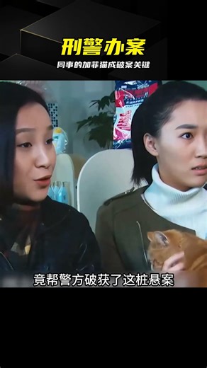 刑警調查兇殺案，一眼看出同事加菲貓不對勁，當場破案 #刑警，加菲猫，凶杀案，破案，细节