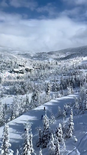 Experience the Thrill of Skiing at Steamboat Resort in Colorado