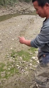 Catching seafood | Chipmunk Del