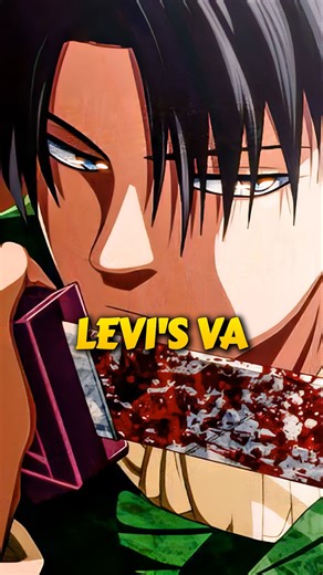 Levi VA's Best Fit
