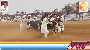 Dand Pathan: Celebrating Saraiki and Punjabi Culture