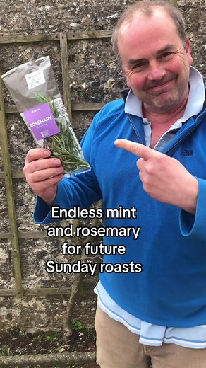How to Easily Propagate Mint Sauce and Rosemary for Homemade Easter Roast Lamb or Vegan Alternatives