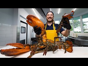 Is Bigger Lobster Better?