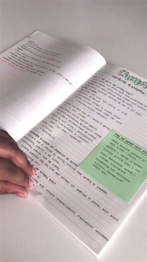 294K views · 10K reactions | #aesteticnotes #ClassNotes #homework #study #let # #lessons #calligraphy #aesthetictering | Inspirational quotes | Facebook