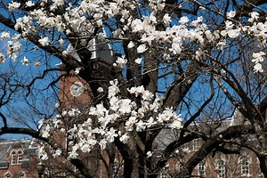 Ohio State, IGS Energy launch sustainable energy initiative