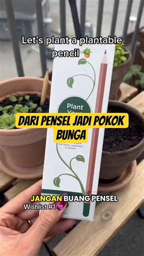 Pensel Ni Boleh Tumbuh Jadi Bunga? Biar Betul!