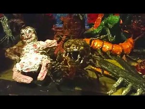 the ganf Made with Clipchamp