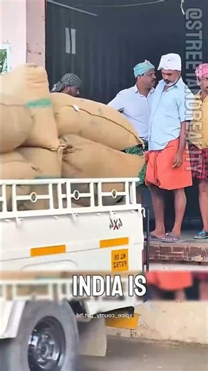 What is INDIA's Secret CARDAMOM Auction? #shorts