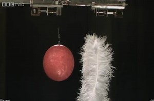 This is what happens when you drop a bowling ball and feathers in the world's biggest vacuum chamber.