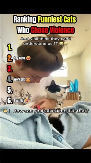 Ranking Funniest Cats Who Chose Violence 😹😼