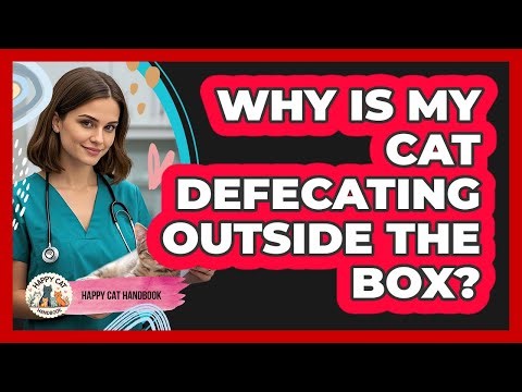 Why Is My Cat Defecating Outside The Box?