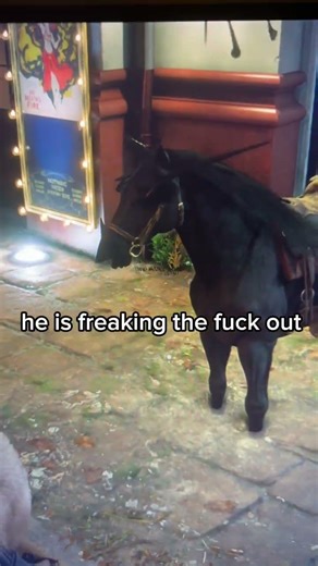 horse in red dead redemption 2 just lost his goddamn mind 💀 #rdr2 #glitch