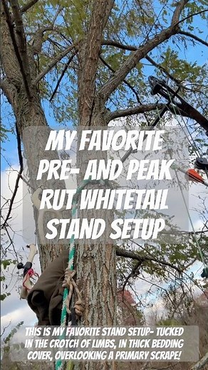 MY FAVORITE TREE STAND SETUP FOR WHITETAIL PRE- AND PEAK RUT #hunting #deerhunting #bowhunting