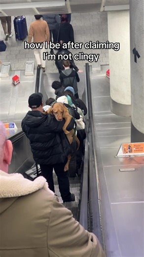 strong independent woman but this is also how I be with my man #clingy #relationshiphumour #londonunderground