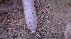 14K views · 27 reactions | Bungee jumping accident sees woman plummet...