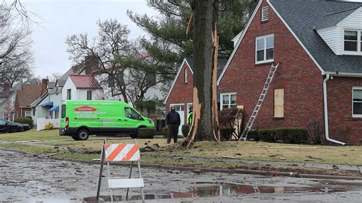 Tree hit by lightning in Davenport yard