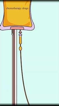 How does chemotherapy work?#shorts #funny
