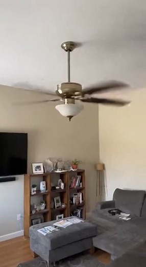 Ceiling fan gone wild! | Evan Era
