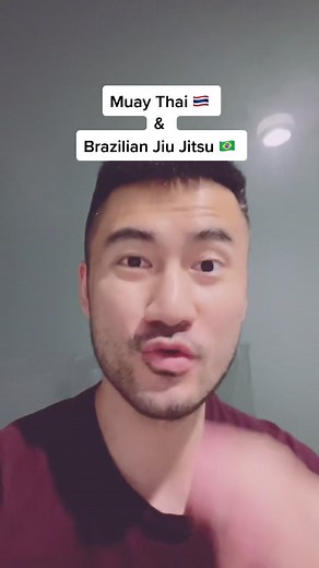 Best Hybrid Martial Art Style Combos #1