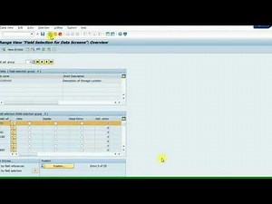 SAP MM: Customization of material master & testing