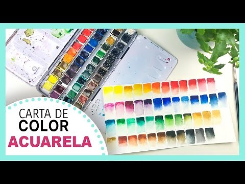 ACUARELA para PRINCIPIANTES PASO a PASO! 🎨 CÓMO crear tu CARTA DE COLOR de forma CORRECTA en 🖐5 MIN!