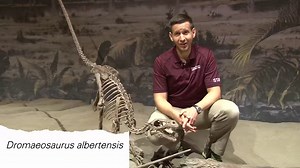 1.4K views · 101 reactions | In this week’s Cretaceous Q&A segment, educator Dan answers the question, “How did dinosaurs get their names?” Do you know the meaning of your favourite dinosaur’s name? | Royal Tyrrell Museum of Palaeontology | Facebook