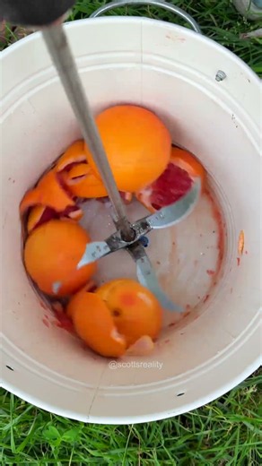 Faster way to make grapefruit juice!