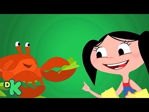 Onde estão os caranguejos? | O Show Da Luna | Discovery Kids Brasil