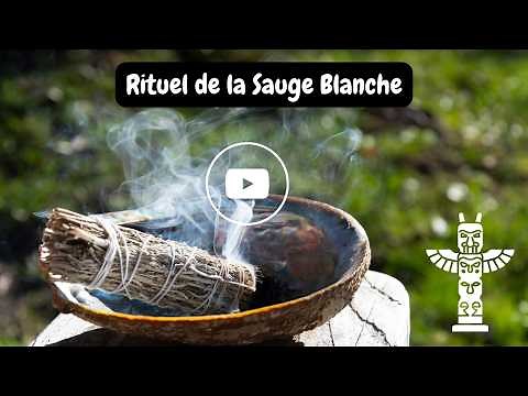 LE RITUEL DE SAUGE BLANCHE
