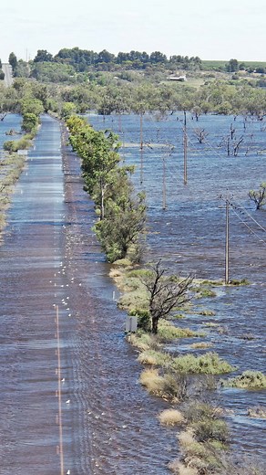 2.1K views | Months after the flood peak, the scale of the River...