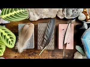 THEIR energy and How THEY are feeling about YOU! 🪶🪽🐦‍⬛ PICK A FEATHER 🐦‍⬛🪽🪶 TIMELESS READING 🪶🪽🐦‍⬛