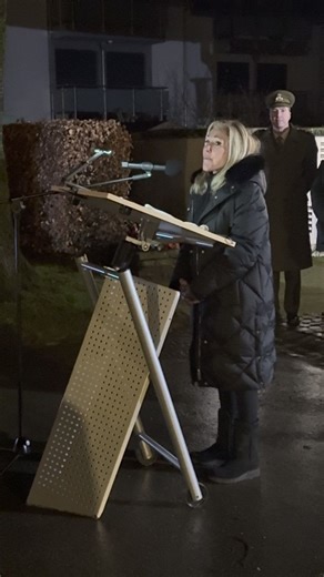 Helen Ayer Patton on Instagram: "Please listen to this heartfelt speech by Ambassador @staceyfeinberg in Luxembourg. She names each name aloud that would otherwise be forgotten. What a tradition. #Luxembourg #generalpatton #wwii #ww2 #neverforget"