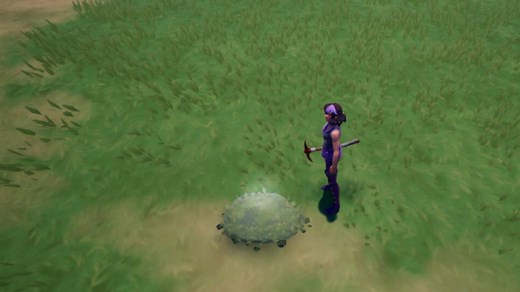 Where To Find & Use Emerald Carpet Moss In Palia