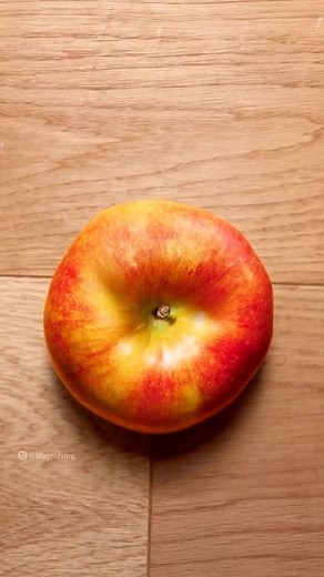 Fascinating Macroscopic Views of Apples Under a Microscope