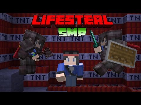 What To Do On a LIFESTEAL SMP