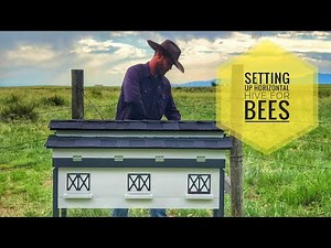 🐝 Setting Up a Horizontal Hive for Bees! Complete Hive Tour + Mite Strips & Sugar Water