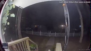 MISSING CAT CAUGHT ON CAMERA: 🐱 When a missing cat named Lily returned home she let her family know by alerting the home’s doorbell camera. STORY: https://bit.ly/3xzY4oq | FOX 13 News - Tampa Bay