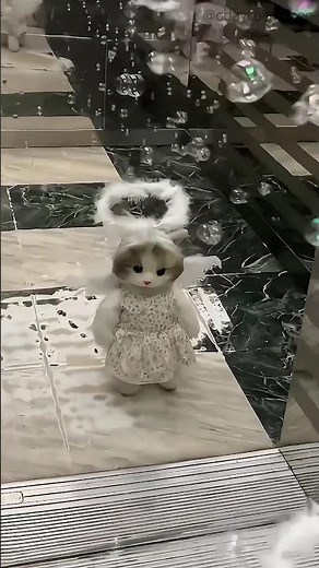 Kitten 🥰 #cat #cats #cute #kitten #pets #catlover #cutecat #funny #kitty