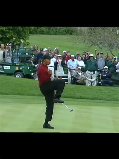 Humorous Golf Reactions to Making Par