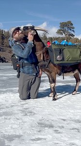 11K views · 264 reactions | Goats really do get into everything but they’re still really fun to have around. | Firebox Stove | Facebook
