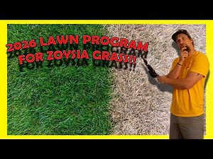 Zoysia Grass Lawn program!!!