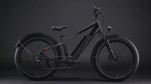 Fatbike RadRhino 6 Plus: Das E-Bike für alle Wege!