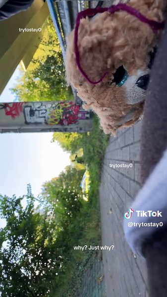 Understanding Borderline Personality Disorder