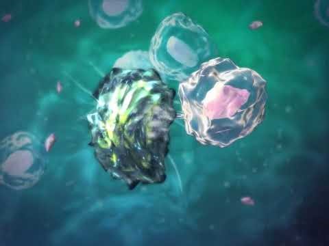 淋巴系统概述三维立体动画演示 #人体解剖学An overview of the lymphatic system in 3D animation #HumanAnatomy