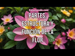 Partes, Estructura y función de la Flor